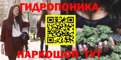 прущие крисы Аргун