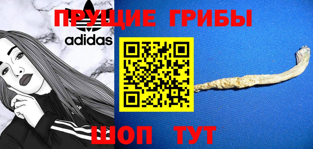 Галлюциногенные грибы Psilocybine cubensis  Вход с VPN  Бийск 