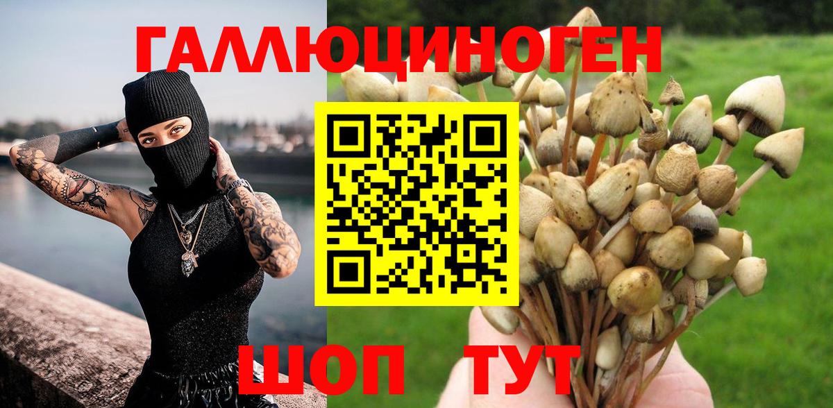COCAIN  ГАШ  Меф   Alpha PVP СК кристаллы  Гашиш  Вход с VPN  МАРИХУАНА  Бийск  Каннабис 
